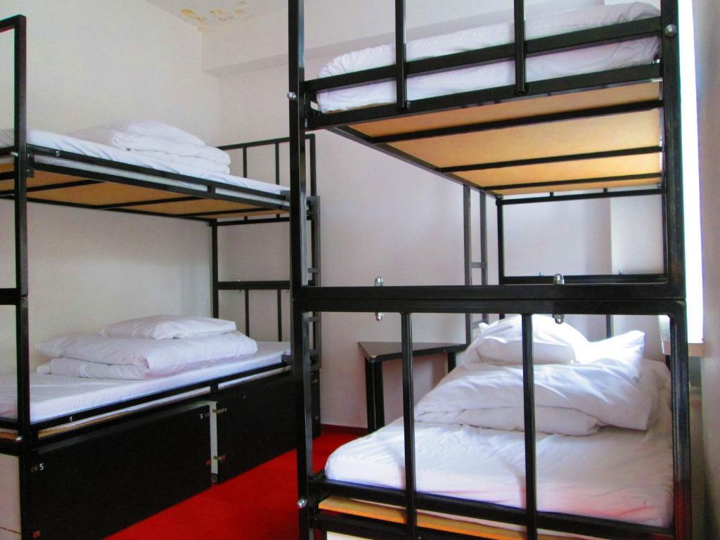 Wilson Hostel Warszawa ห้อง รูปภาพ